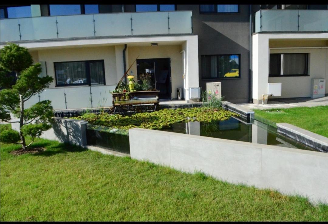 Vivamus Studio Braszów Zewnętrze zdjęcie